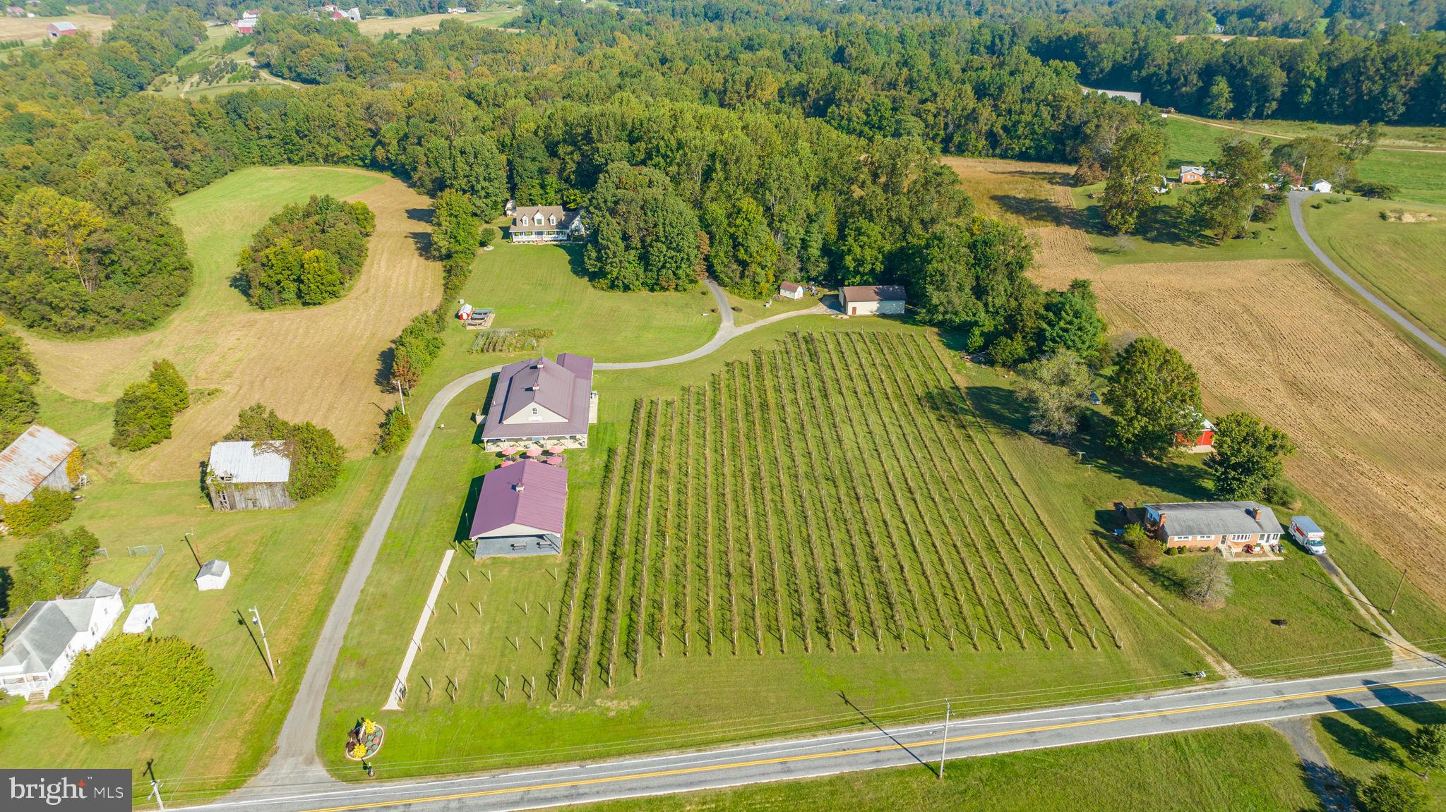 NONE AVAILABLE - Farm