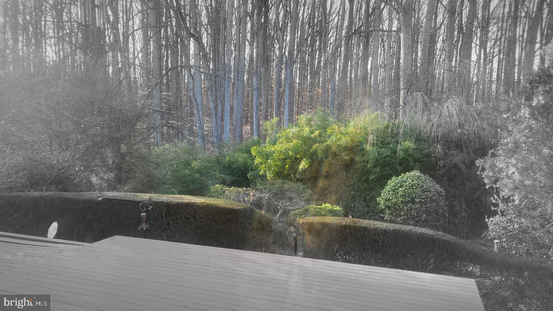 COLLEGE GARDENS - Residential