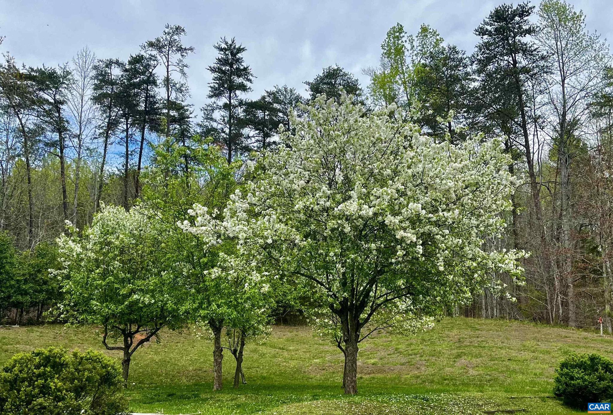 MEADOW ESTATES - Residential