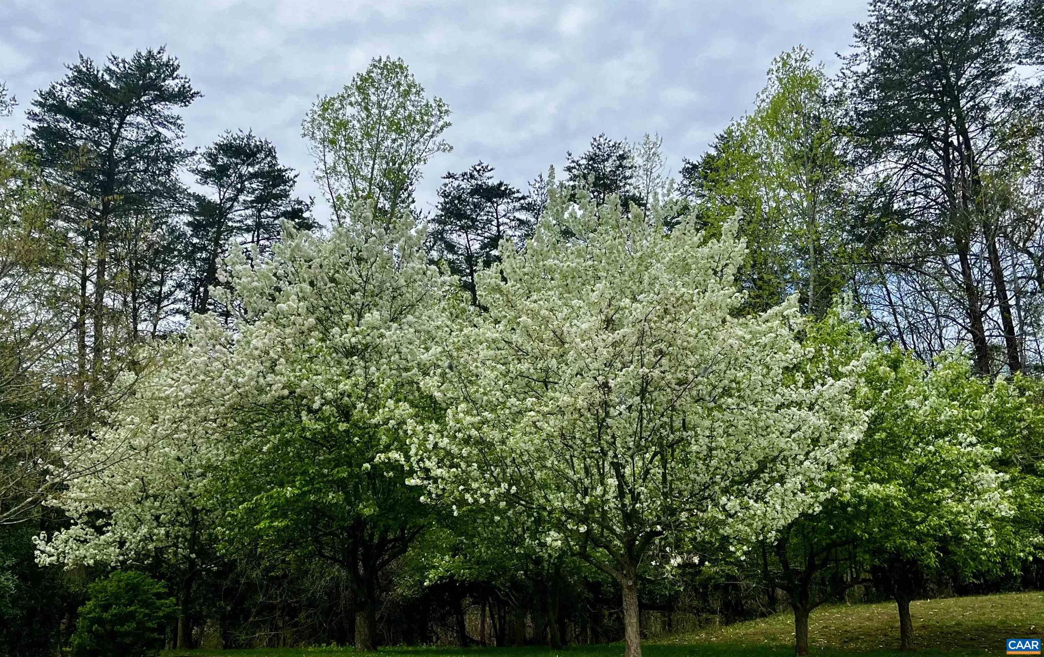 MEADOW ESTATES - Residential