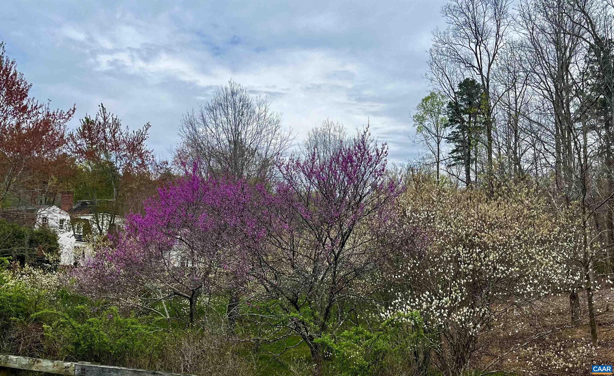 MEADOW ESTATES - Residential