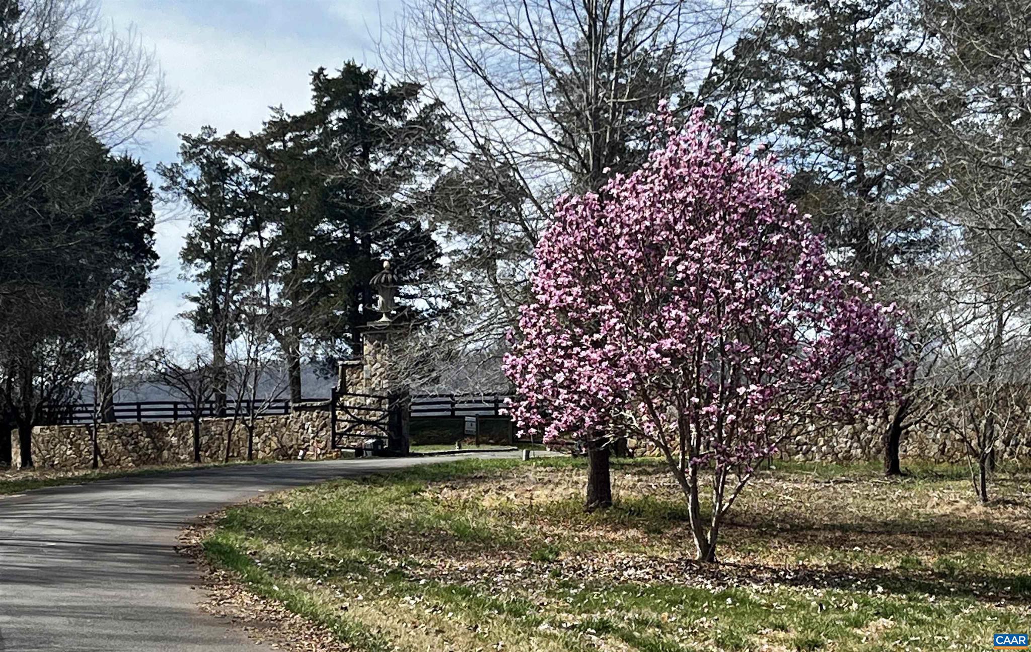 MEADOW ESTATES - Residential