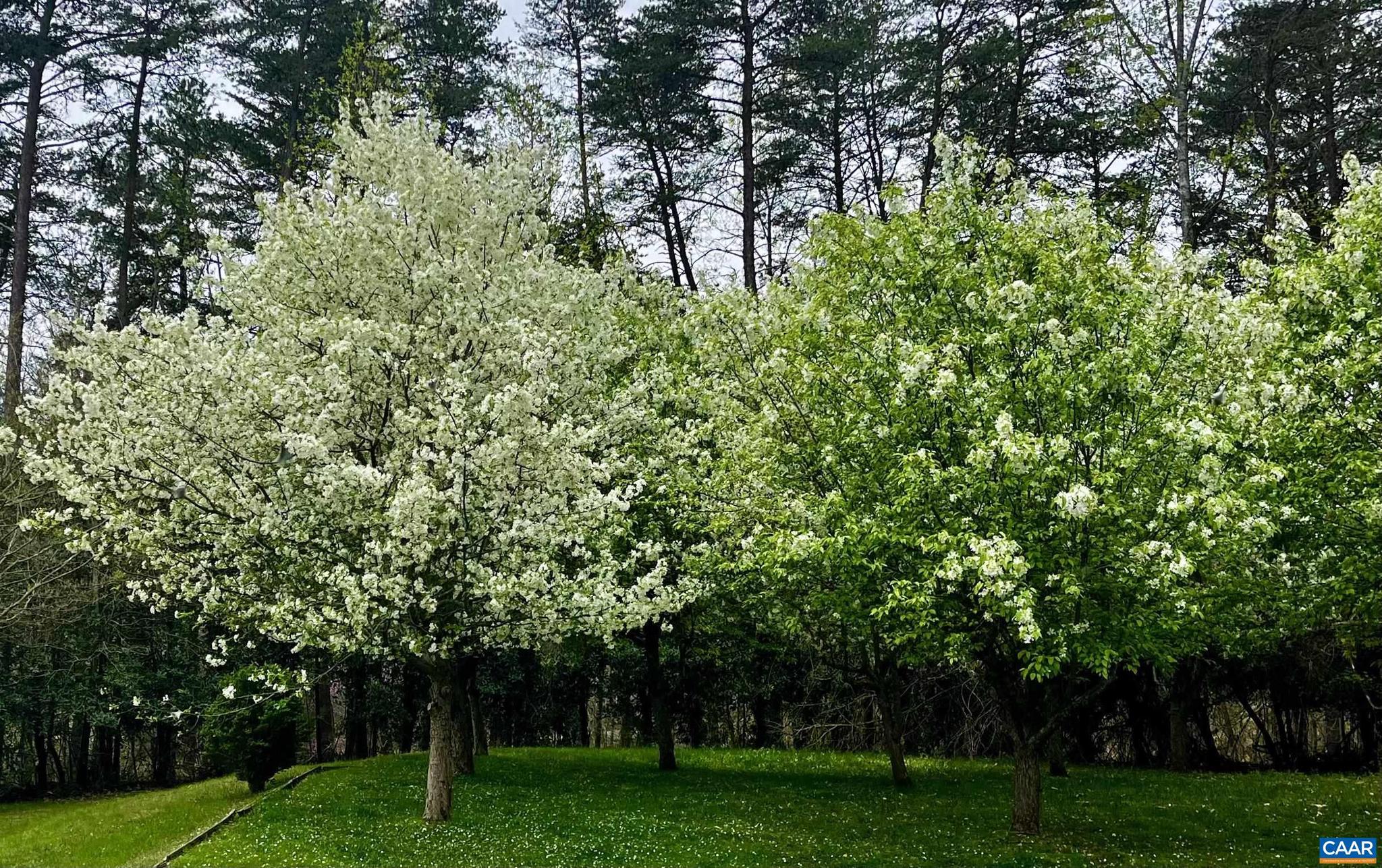 MEADOW ESTATES - Residential