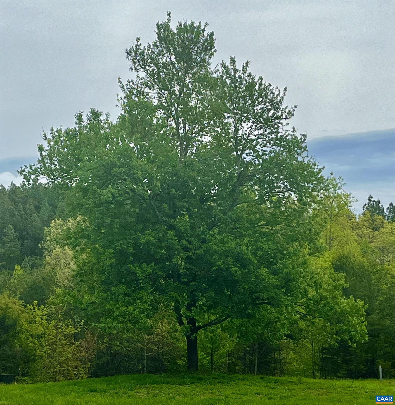 MEADOW ESTATES - Residential