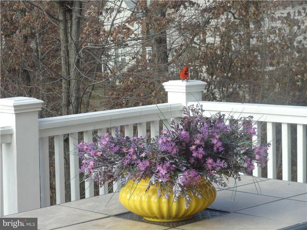 CENTREVILLE - Residential Lease