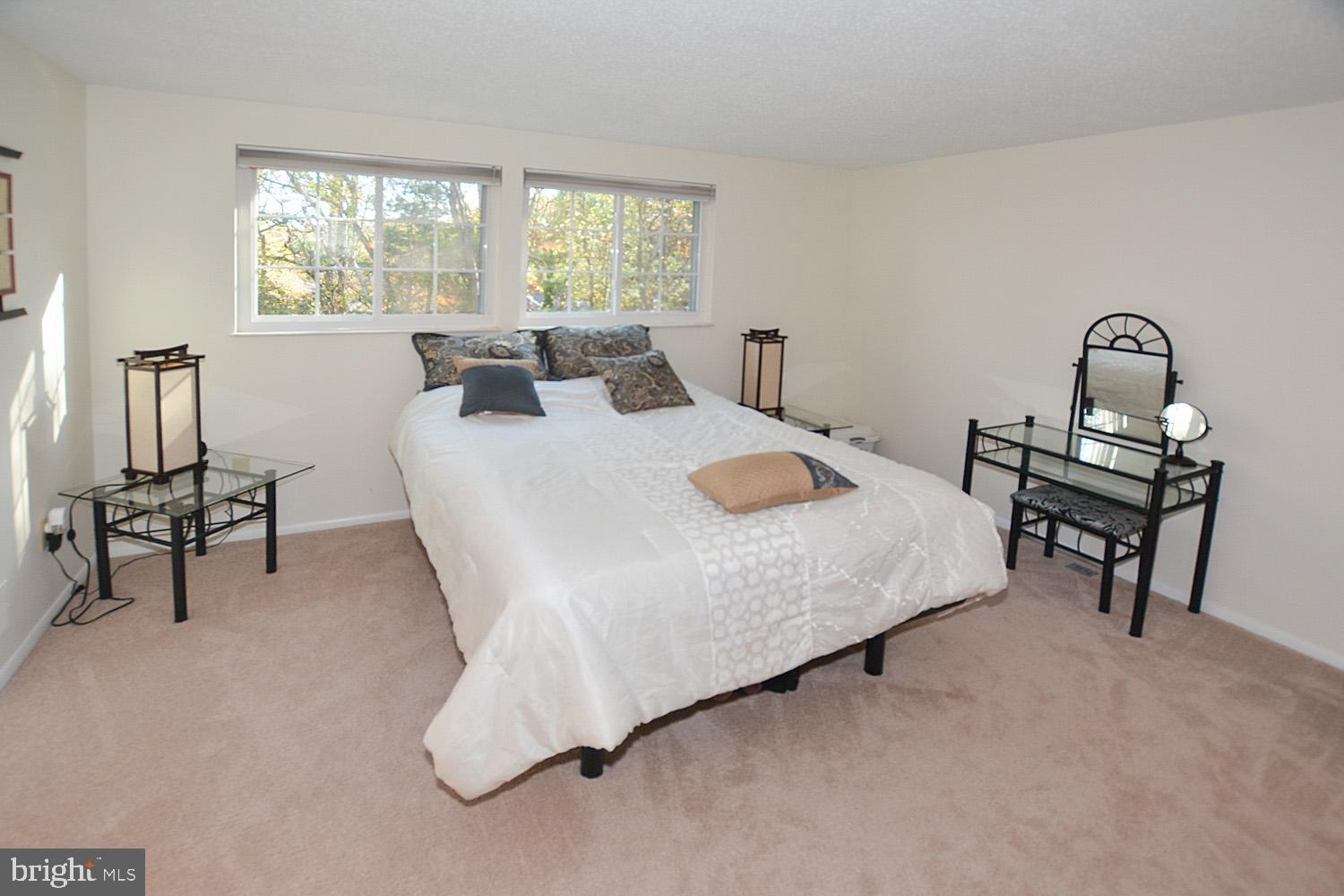 BURKE VILLAGE - Residential