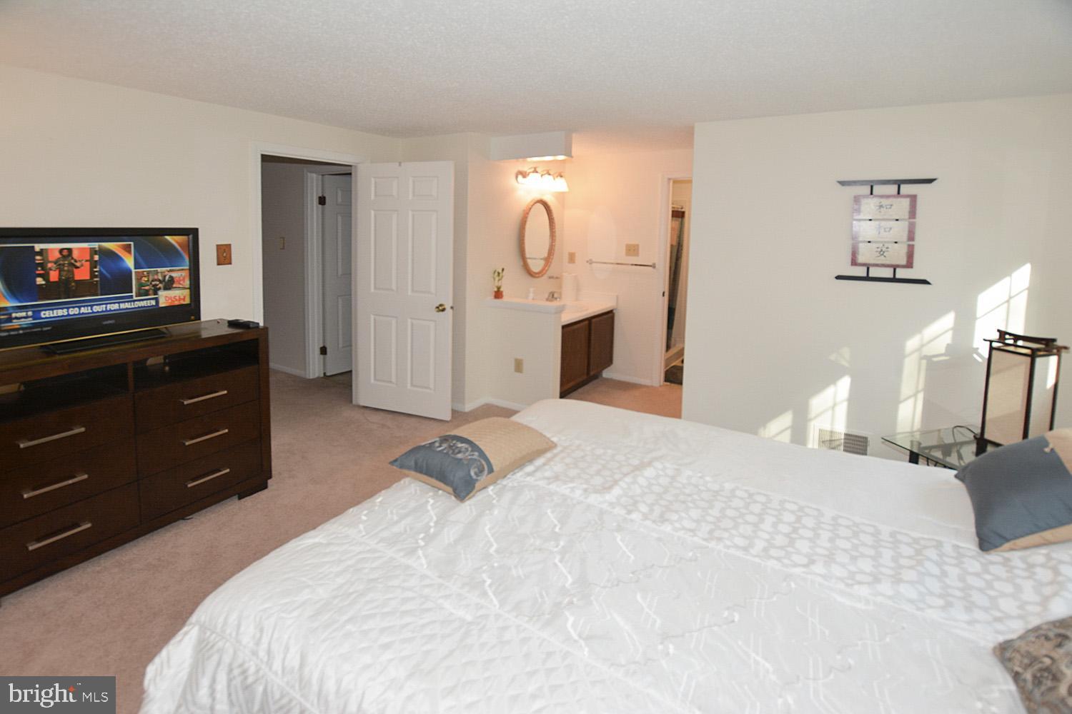 BURKE VILLAGE - Residential