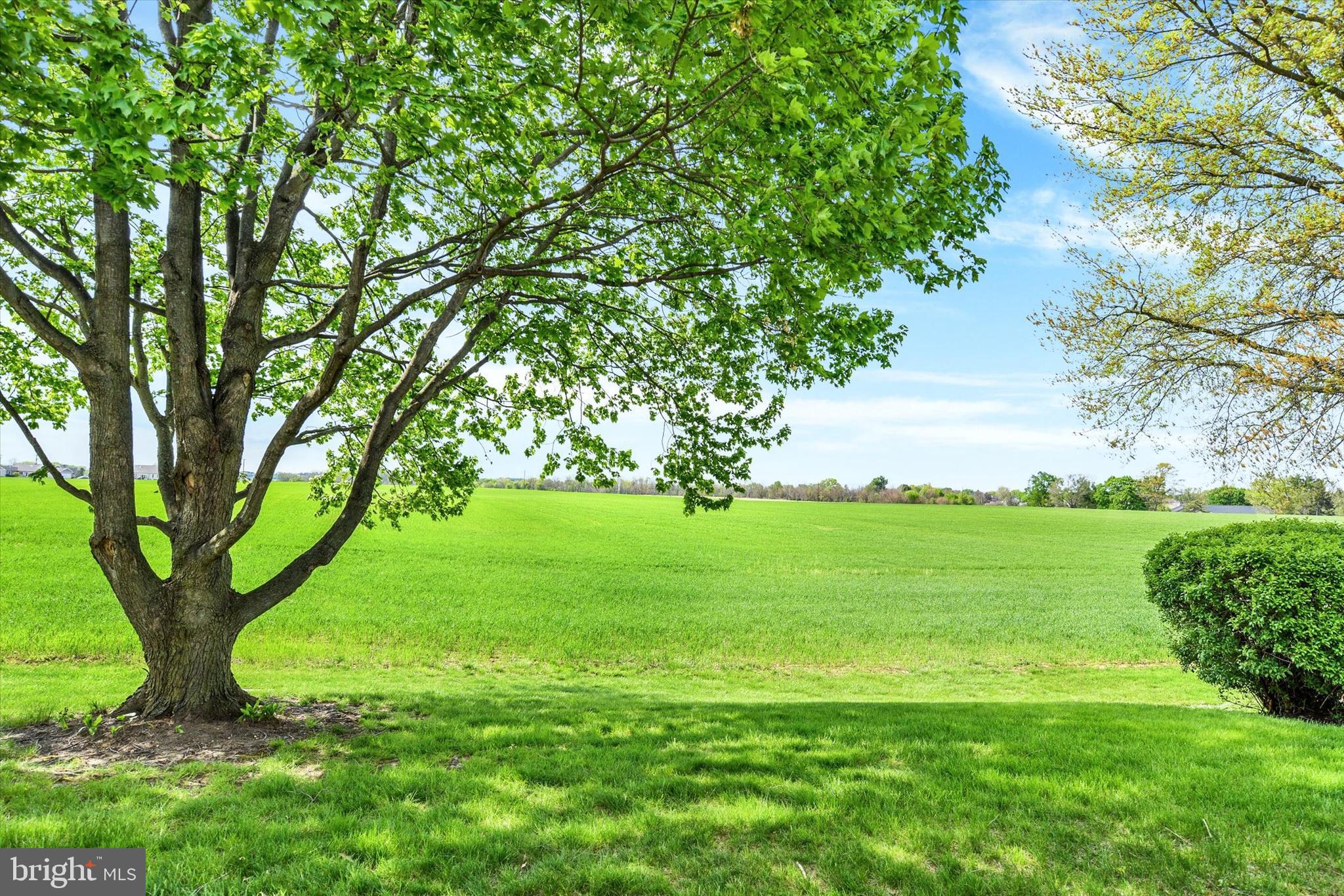 ROCKLEDGE - Residential