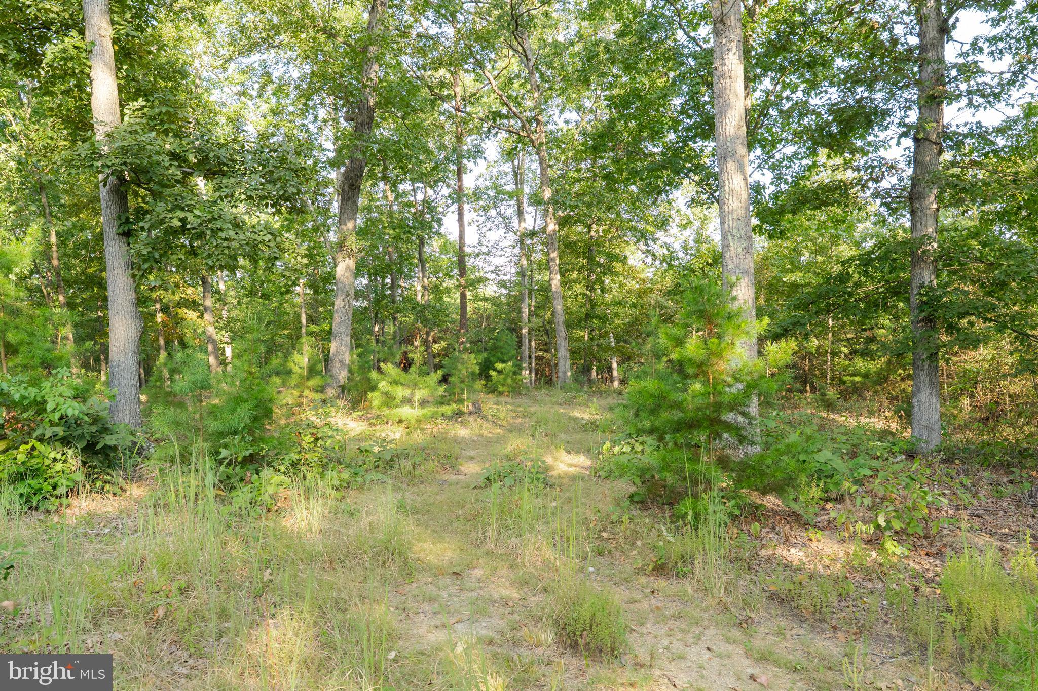 SLEEPY CREEK VIEW - Residential