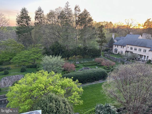 CHESTNUT HILL - Residential