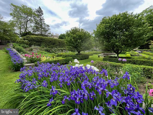 CHESTNUT HILL - Residential