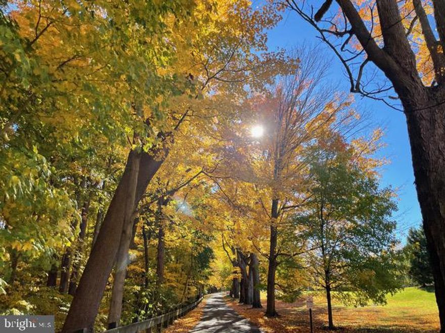 Don't miss this opportunity! A secluded residential enclave of 18 homes in Chestnut Hill, "Druim Moir,” Gaelic for "high ridge," offers beautiful country living overlooking the hiking trails of the Wissahickon, Forbidden Drive and Valley Green. This is a once and a blue moon opportunity to live in one of the 3 townhomes located in the main residence, “The Castle”. It was originally built for Henry Howard Houston, by The Hewitt Brothers, in 1885. In the early 1980s descendants of the Houston family divided the mansion into 3 townhouses and built new homes fashioned after an English Cotswold village. Offering 4500 sq. ft., 3 Beds (could be 4) 3.5 Baths. Spacious light-filled rooms, 12 foot ceilings, 9ft windows, and views and clean lines abound. The house has its own private fenced garden with deck, which overlooks The historically certified Druim Moir Formal Gardens and the Wissahickon Park. A low monthly Druim Moir Homeowner's association fee maintains the 10 acres of commonly owned land which includes undulating pristine lawns, stately trees, and private entrance drives of this development, which is acclaimed for its conservation and architectural integrity. Local Wissahickon schist was used for the walls, Eastern granite for the trim. This lovely home offers low maintenance living and spectacular green space beyond the backyard, Everything you love about living on a historic Chestnut Hill estate with none of the maintenance, just 1/2 mile from the train Line to Center City and 1 mile from the quaint cobblestone main street of Chestnut Hill. This home is an open canvas waiting for new owners to make it into their very own magical tree house castle, priced accordingly for needed cosmetic improvements.