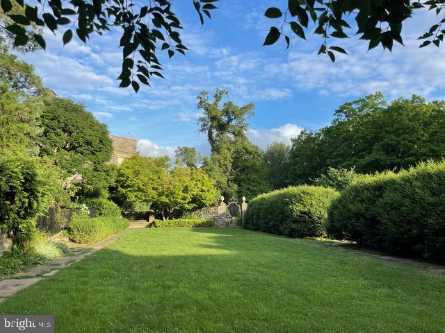 CHESTNUT HILL - Residential