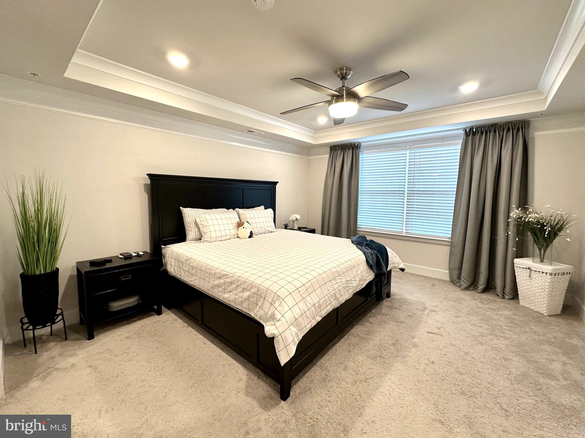 BLUE STREAM - Residential