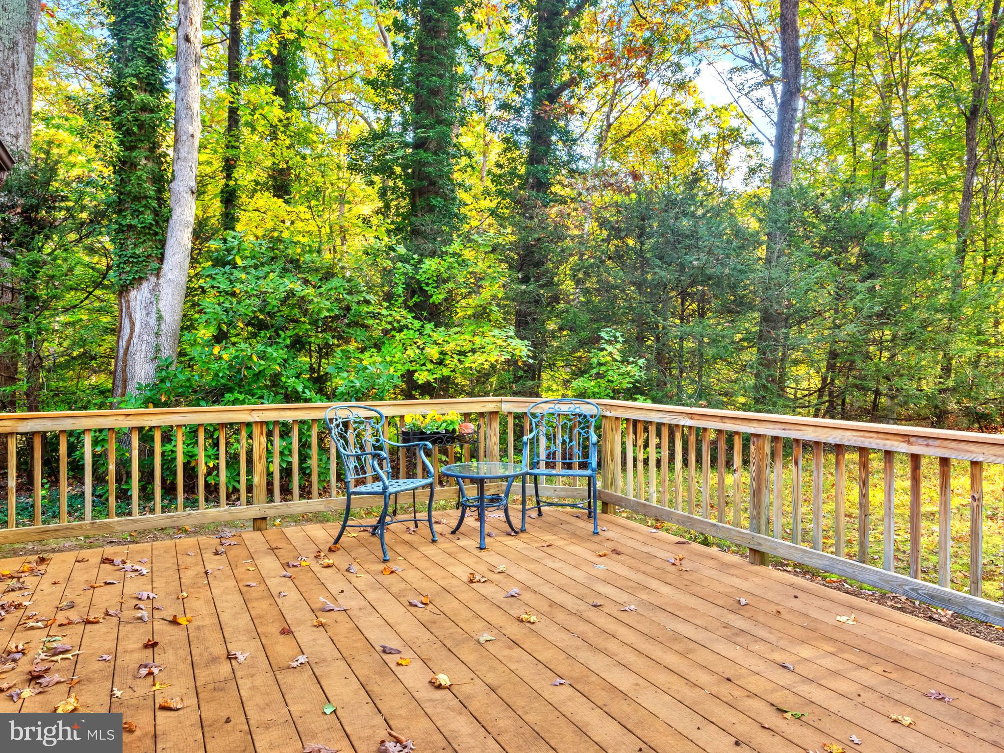 HERMITAGE - Residential