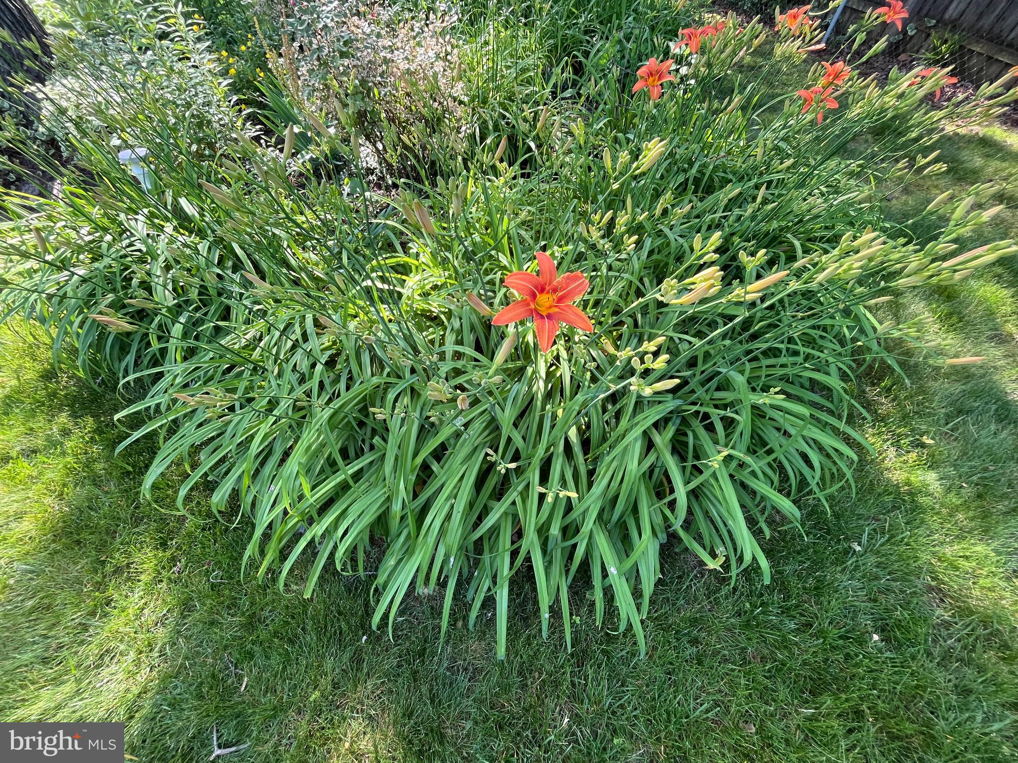 MONTICELLO WOODS - Residential