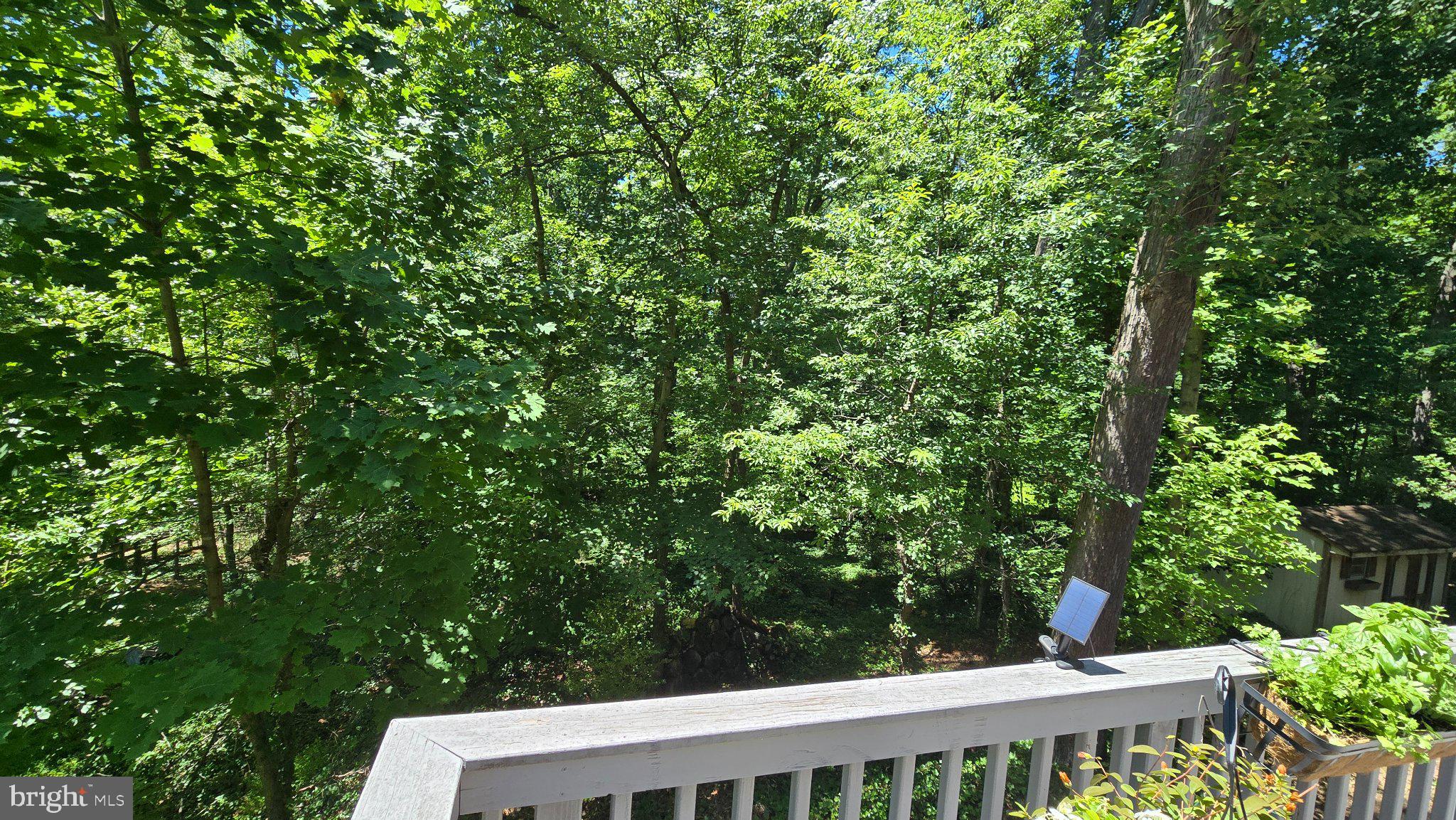 3420 GREENTREE DRIVE