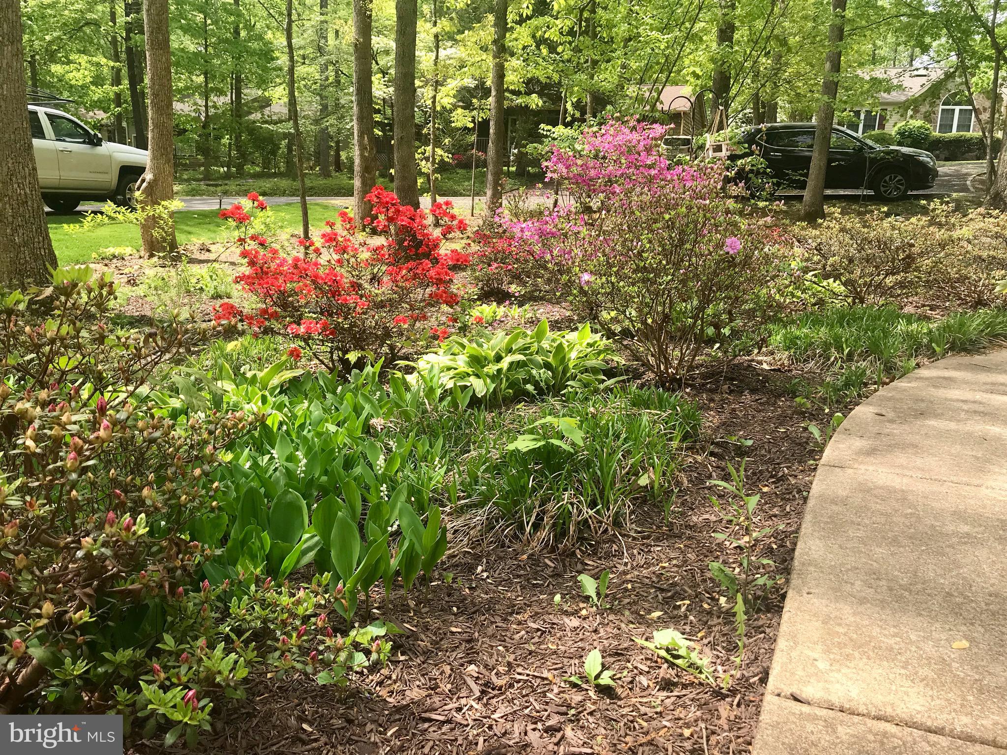 LAKE OF THE WOODS - Residential