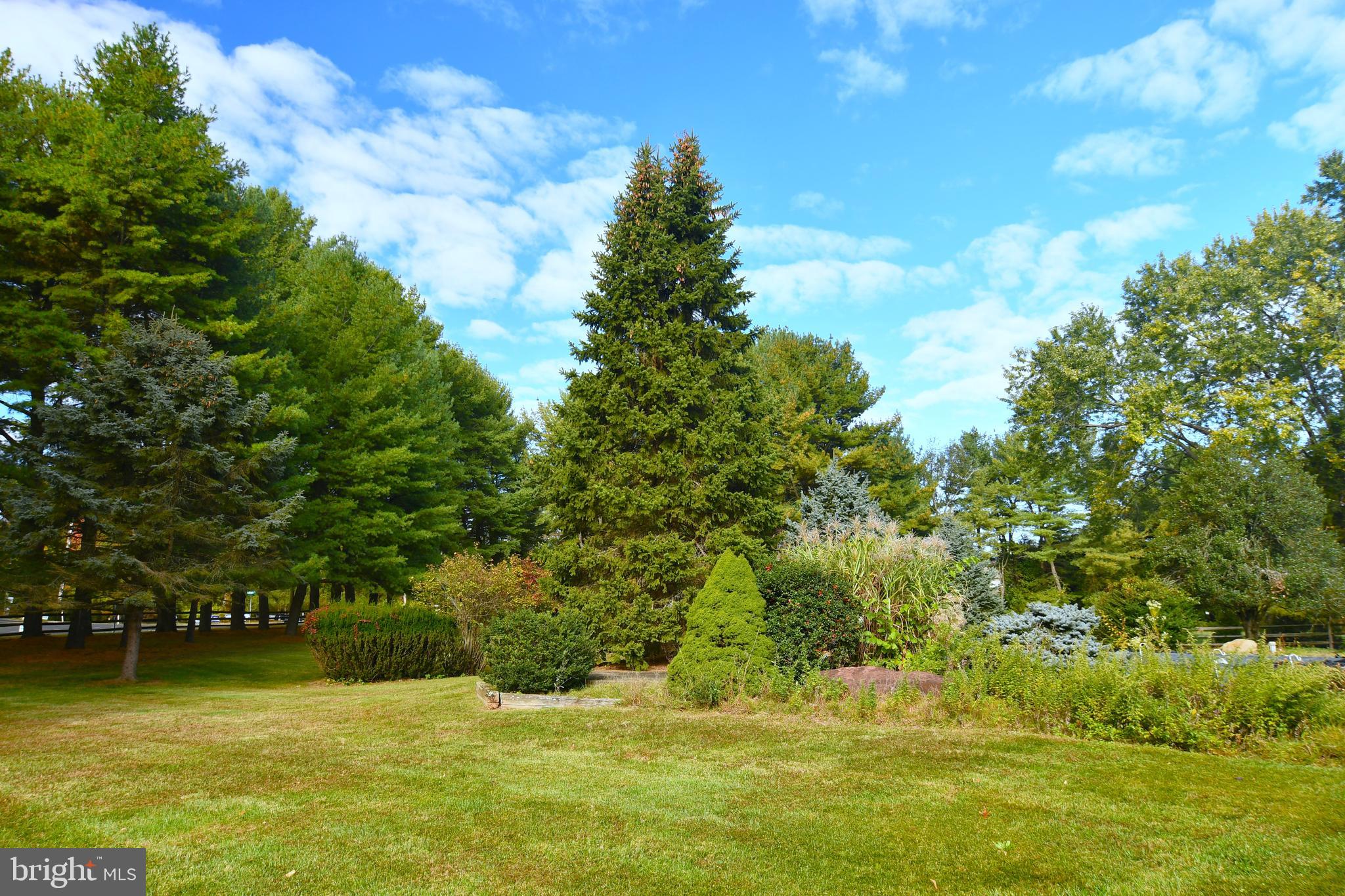 BUCKLAND VALLEY FA - Residential