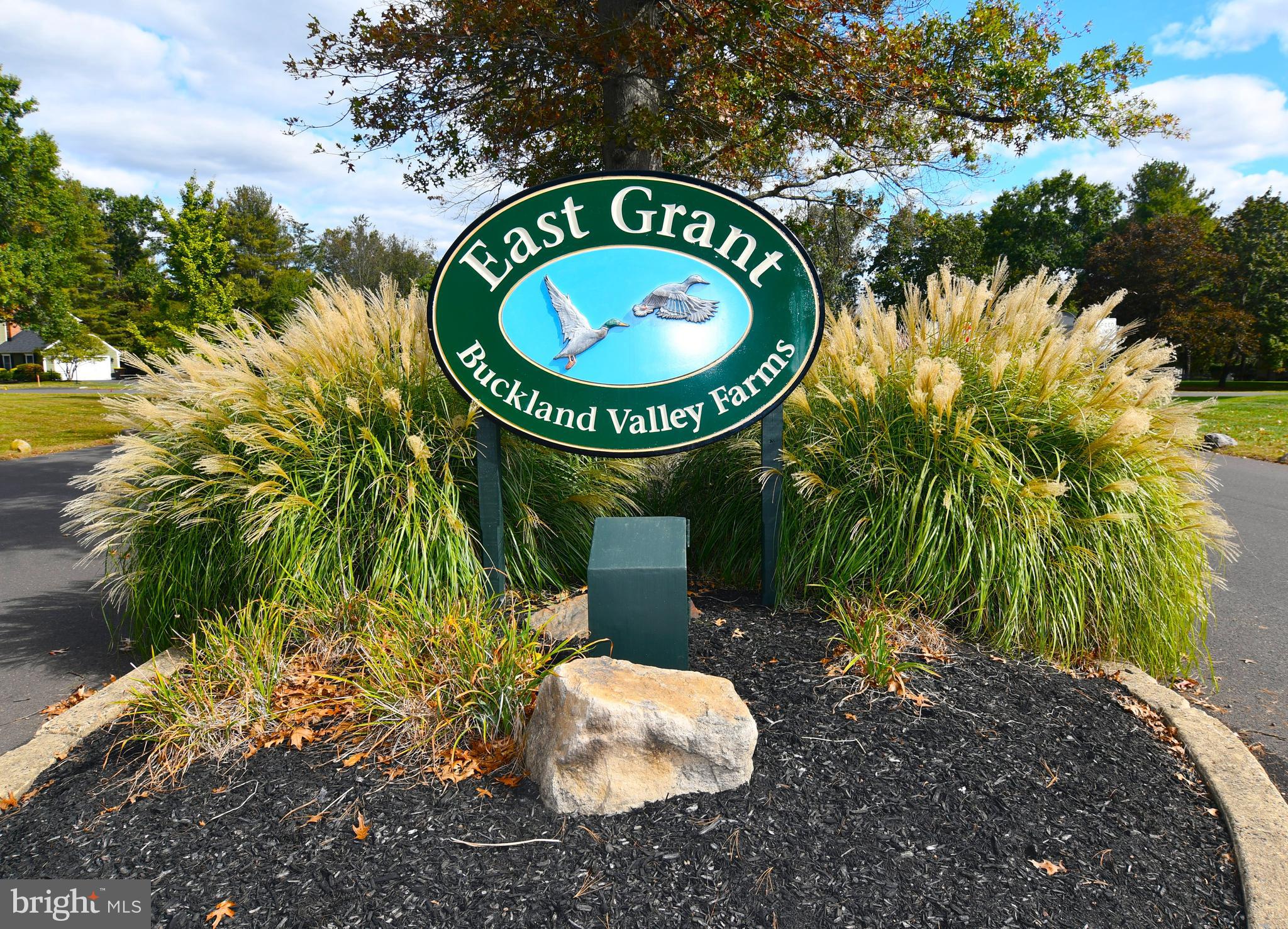 BUCKLAND VALLEY FA - Residential