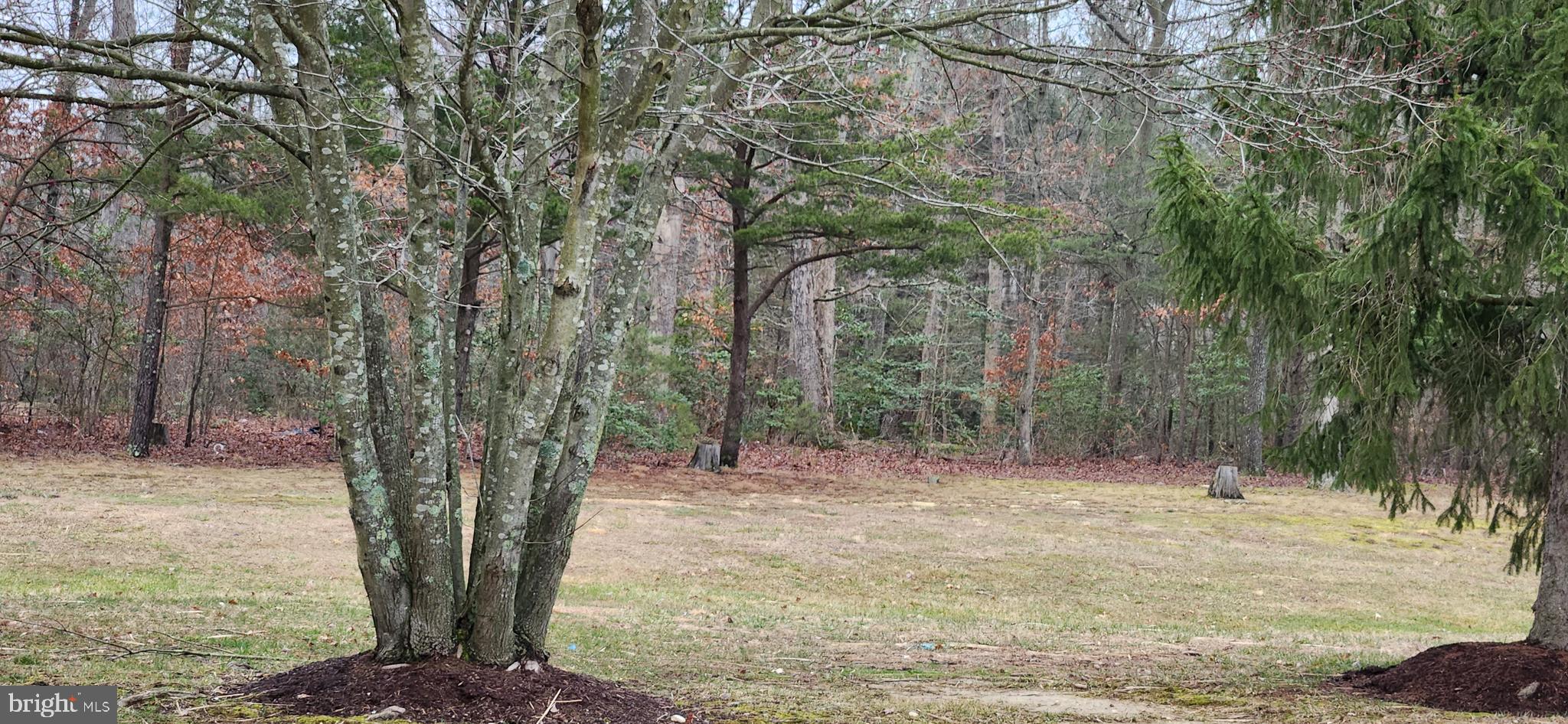 MEADOWS AT WHITE OAK SUB - Residential