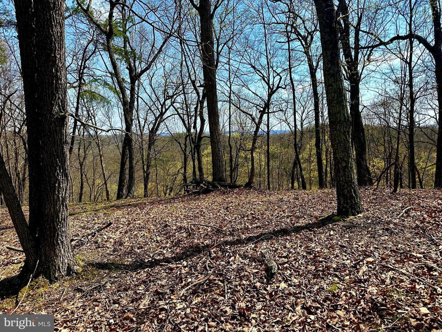 A RARE FIND---148 +/- acre parcel.  Find seclusion & privacy within the boundaries of this massive playground.  Exceptional hunting reported, STREAM & ATV roads throughout are just a few of the awesome features of the tract.  UNRESTRICTED acreage, you decide how to use the property.  MULTIPLE Building SITES  to choose from to build that dream home or cabin.  Diverse habitat that offers the essential elements needed to grow & hold the wildlife.  With the Mature Hardwoods & a creek flowing through the property, you can embrace the outdoors and relax in this serene mountain setting.   Easy, all season access with great location.  Only 2 hours from Northern Virginia, minutes from Mill Creek Golf Course and short drive to many South Branch Valley Attractions.  This is YOUR OPPORTUNITY to own a property that checks most of the boxes.  Don't delay, reach out today for an appointment to see this GEM before it is gone.   Property has been recently surveyed.