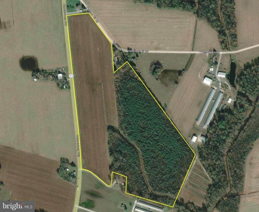 55.5+- acre parcel with a combination of cleared and wooded land 25.49+- acres is cleared and is currently being farmed with row crops. Soil types include sandy loams and are favorable for a perc(s). The remaining 30.01+- acres is a mixture of pines and hardwoods that have been enjoyed for recreational purposes. There are many opportunities for this land such as a hobby farm and keeping horses, livestock, and other animals.  There is approximately 2,100 ft. of road frontage, located 10 miles from Denton, 20 miles from Easton, and 7.5 miles from the Delaware line and tax free shopping. No easements and the land is not in ag preservation.  The seller is not interested in leasing the property.