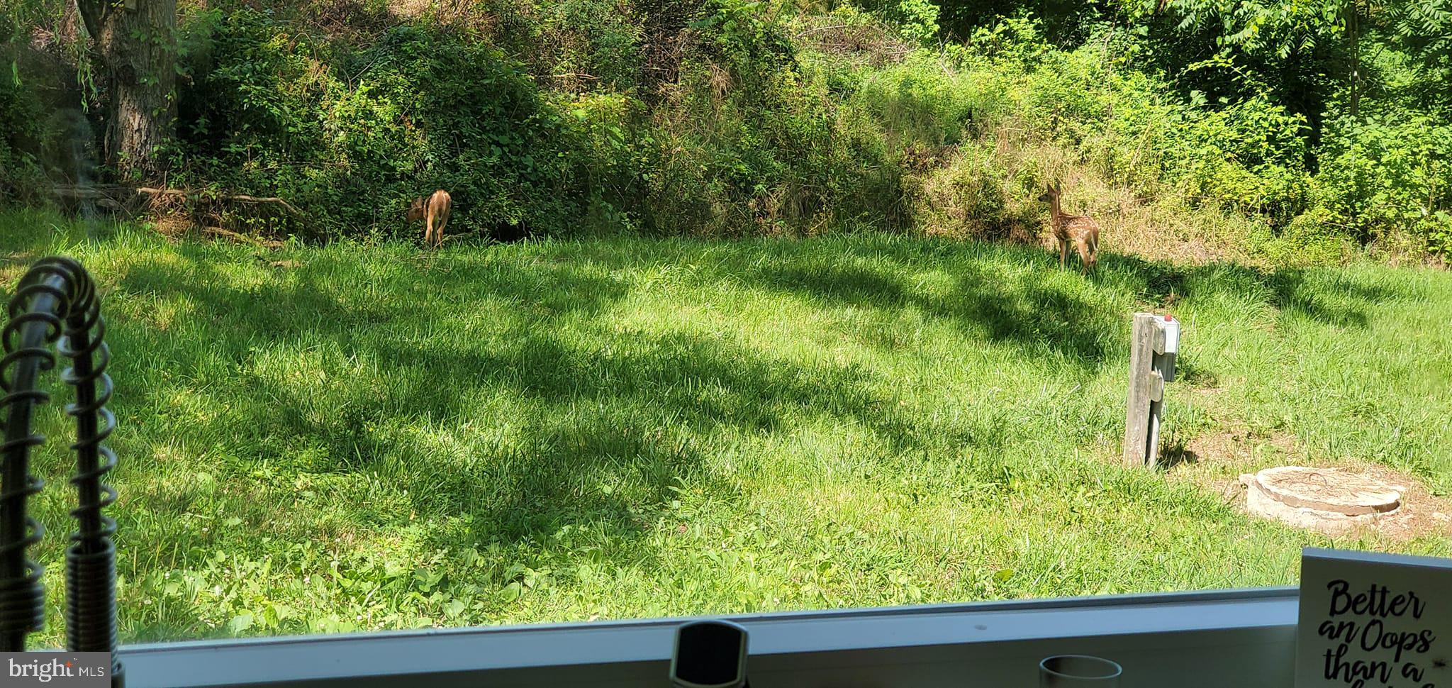 TUB RUN HOLLOW - Residential