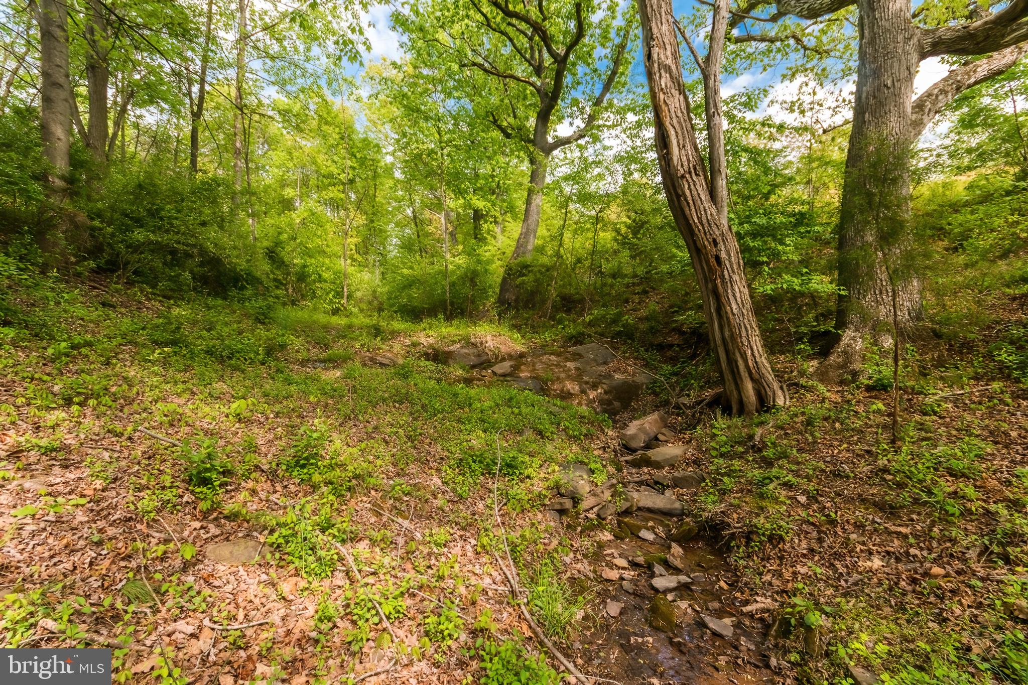 TUB RUN HOLLOW - Residential
