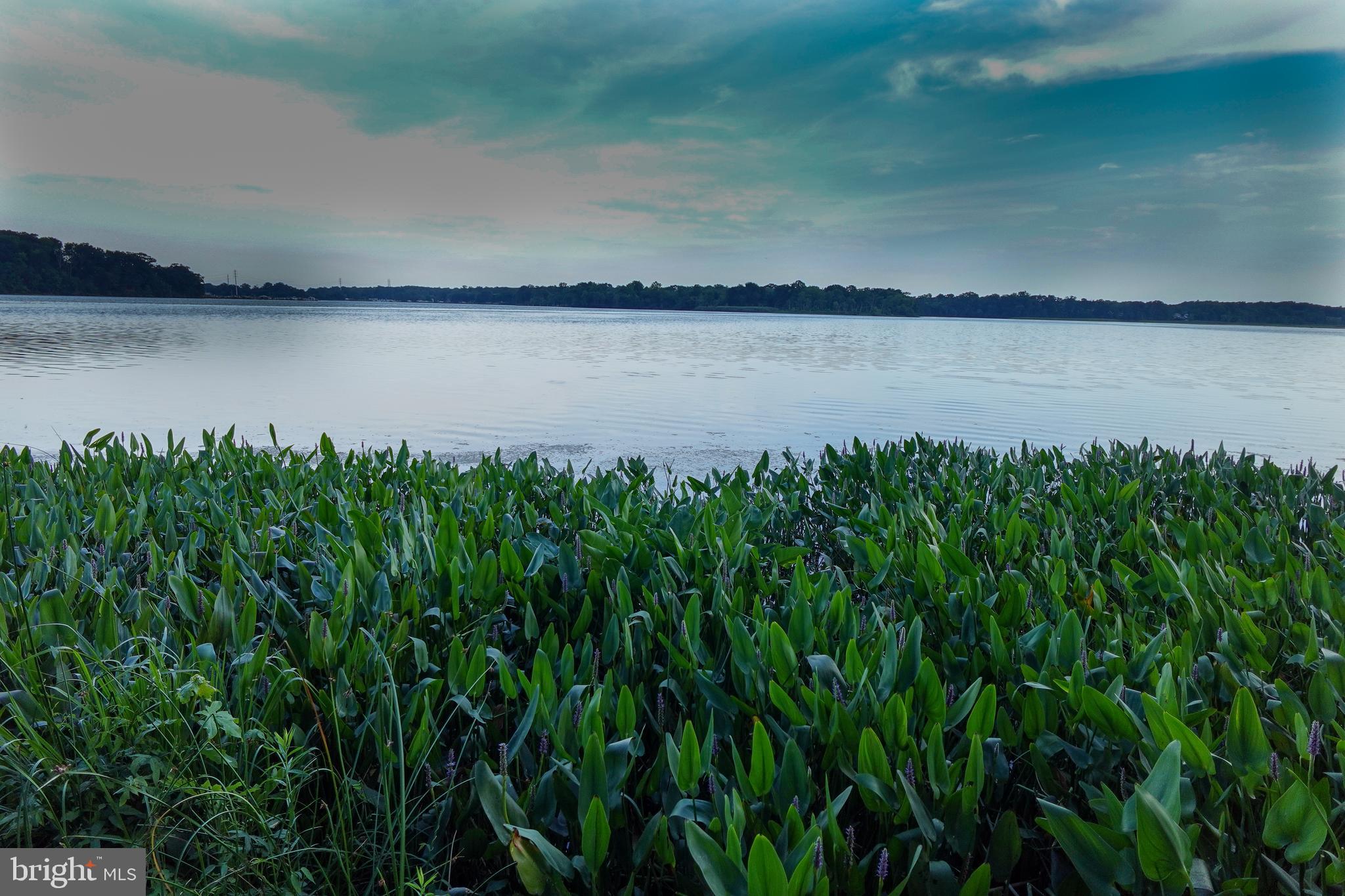 VAN BIBBER - Residential