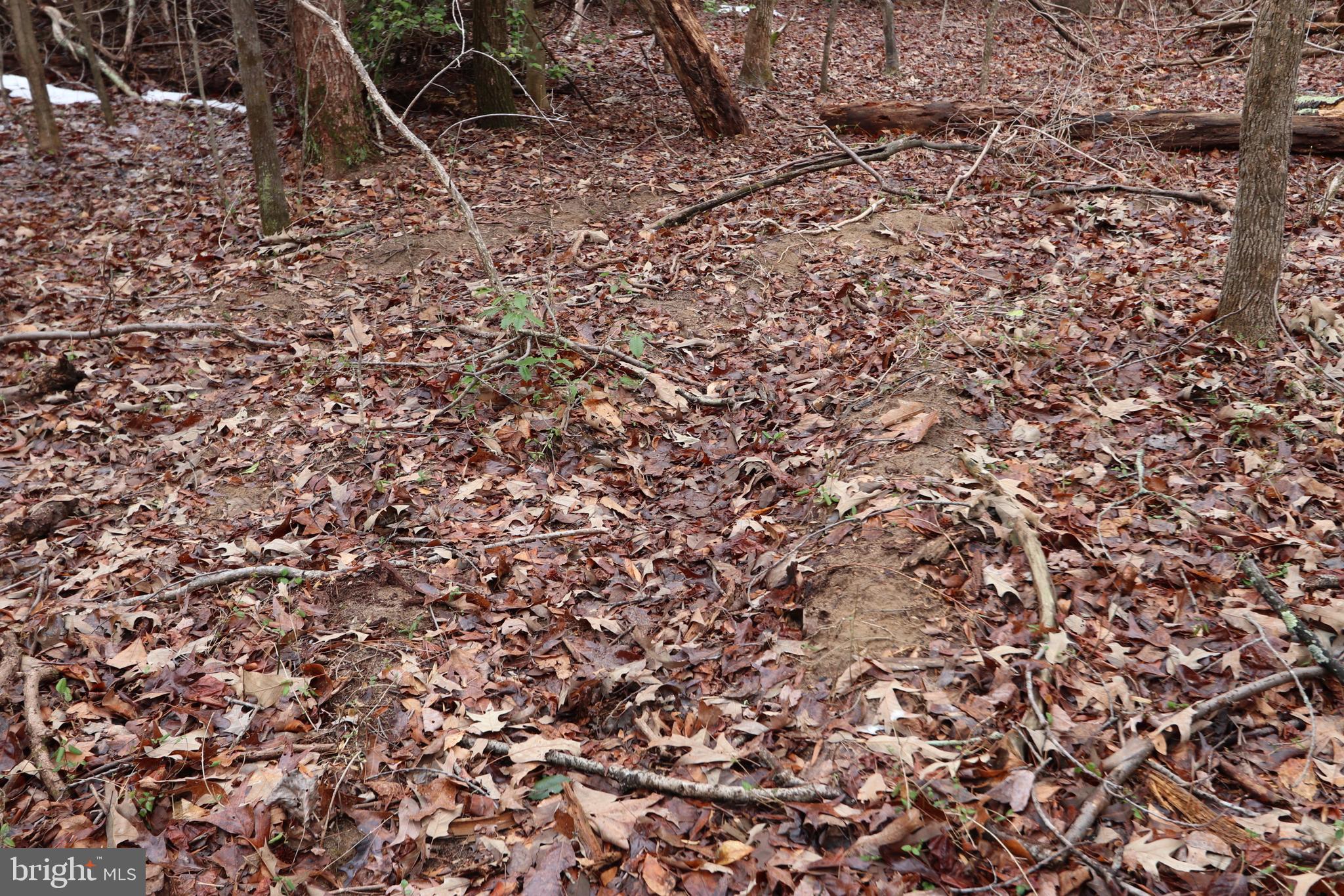 lots 2-6 and 11-16 PENGUIN PLACE