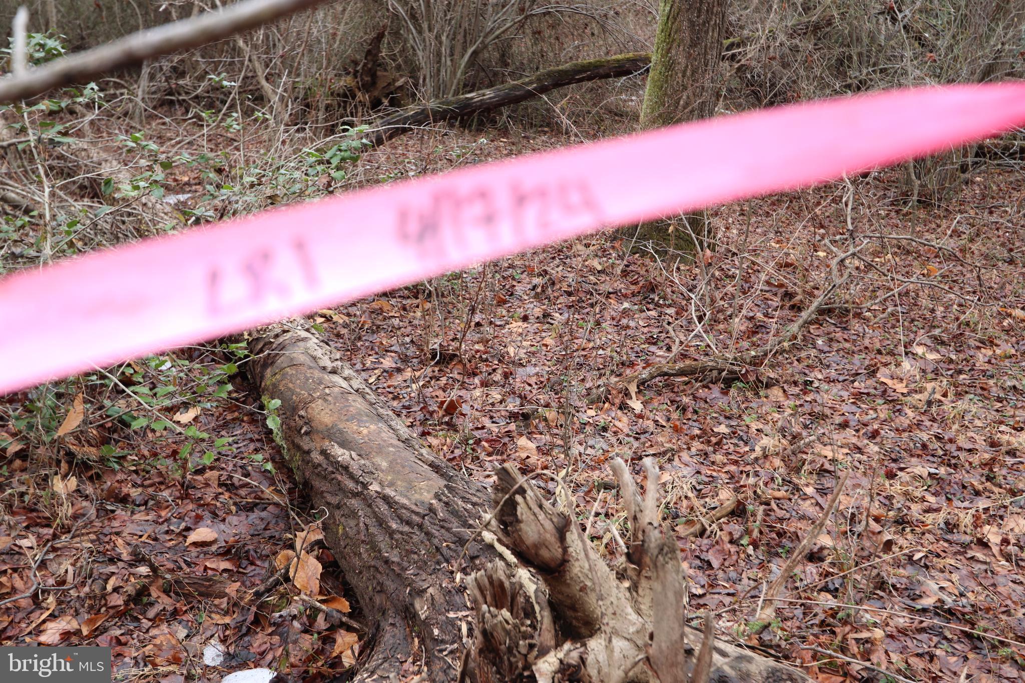 lots 2-6 and 11-16 PENGUIN PLACE