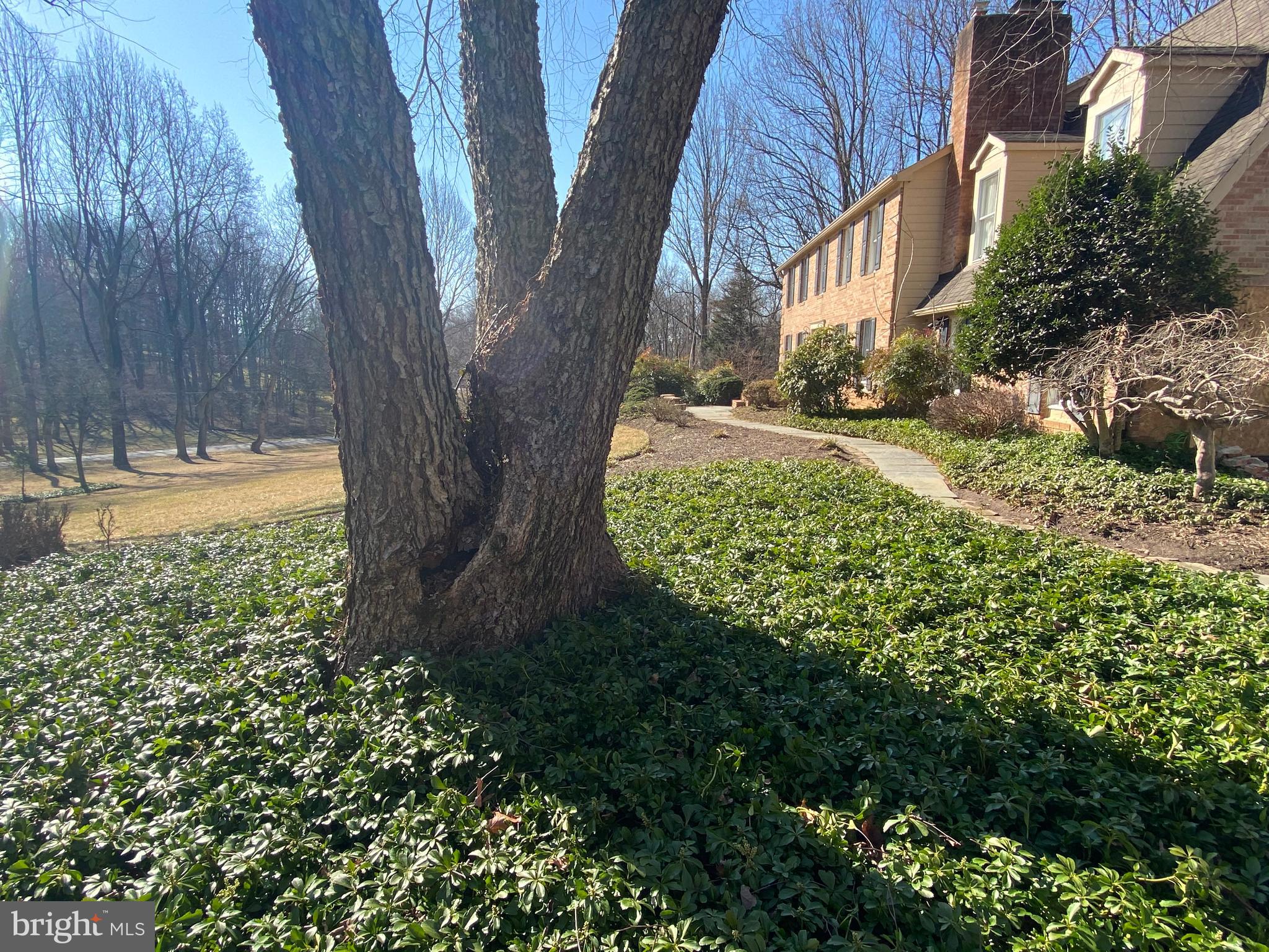 9701 GEORGETOWN PIKE