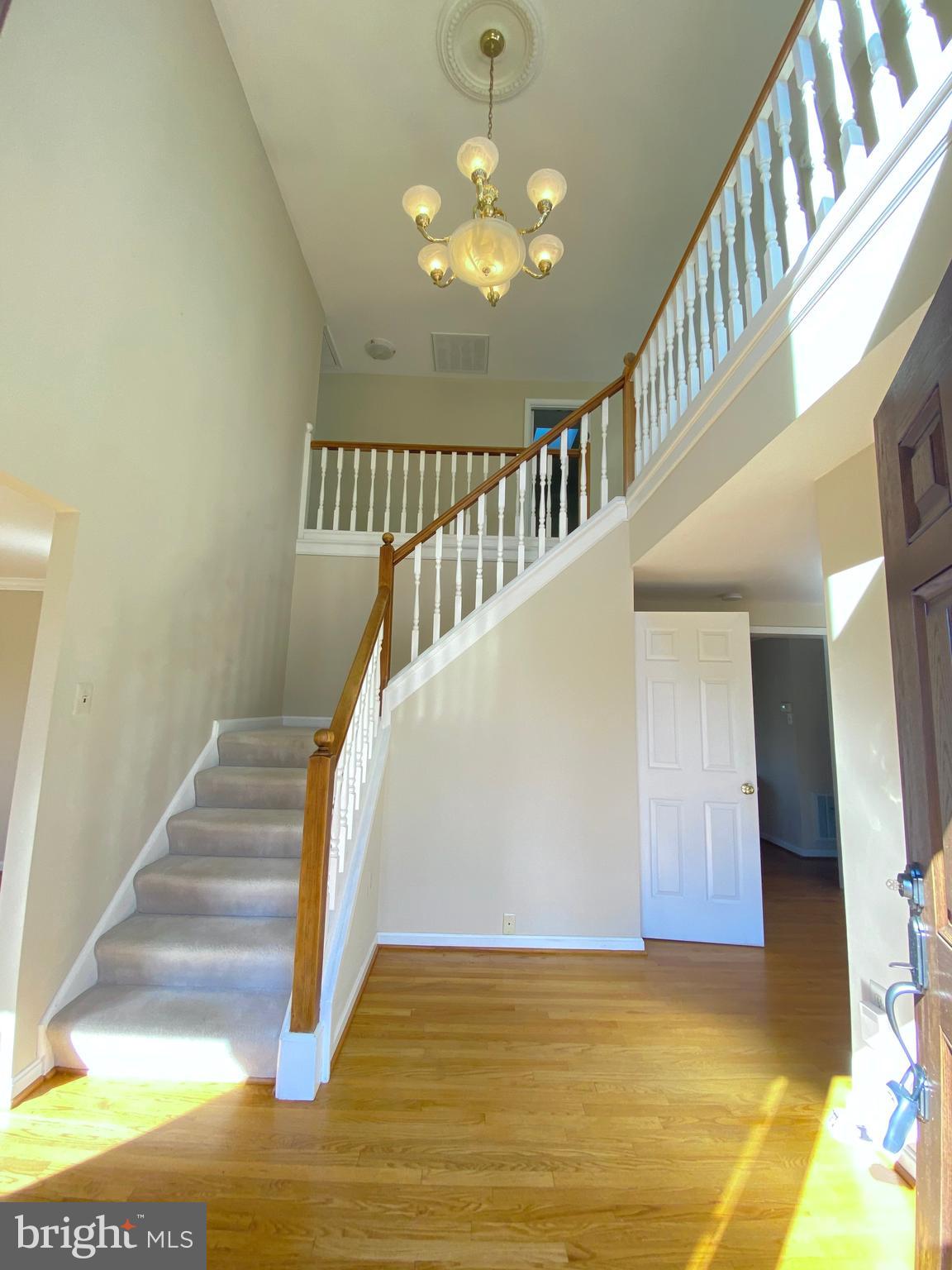 9701 GEORGETOWN PIKE