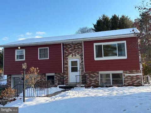 40 LONG STRETCH ROAD PINE GROVE PA 17963