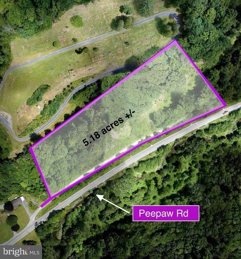 Vacant Land For Sale - Peepaw Road<br/> ROARING BRANCH, PA 17765