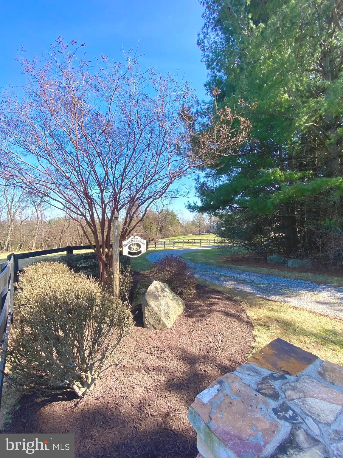 17536 MARIAH MOUNTAIN LANE