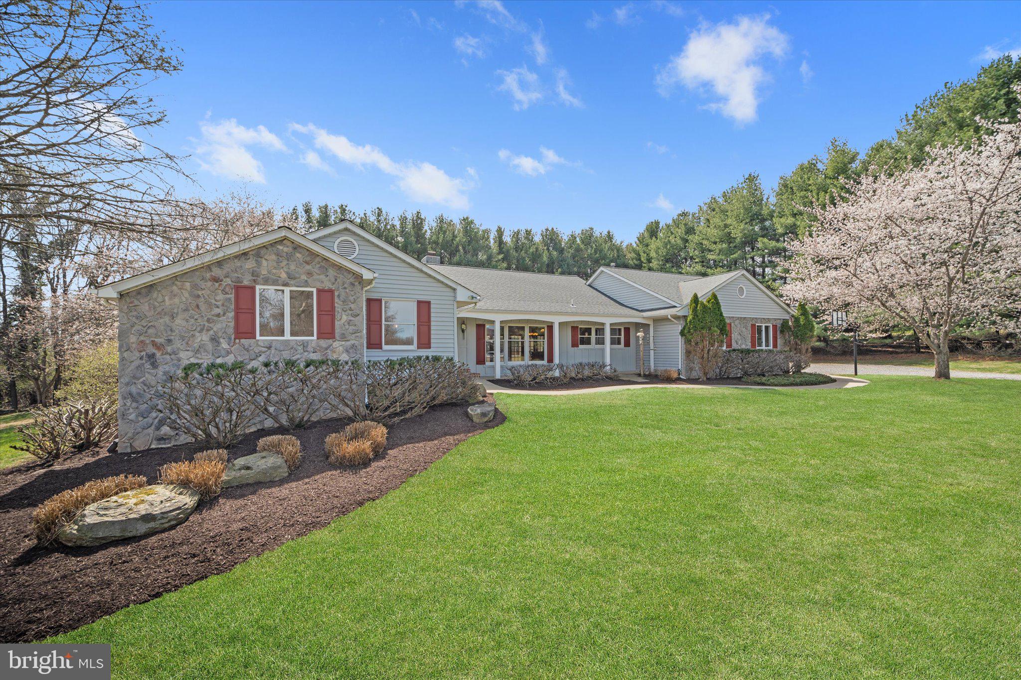 17536 MARIAH MOUNTAIN LANE