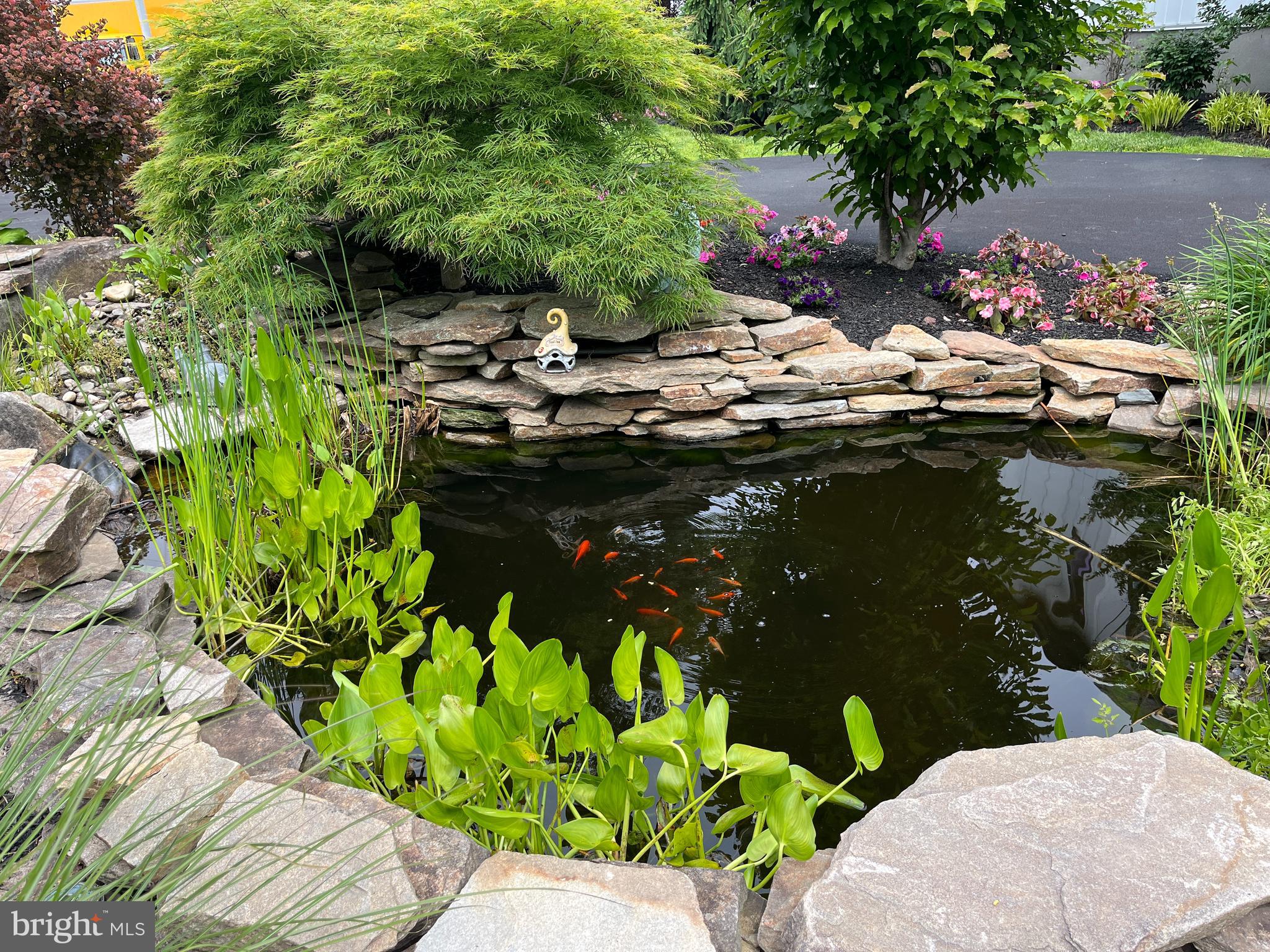 BURROWS RUN - Residential