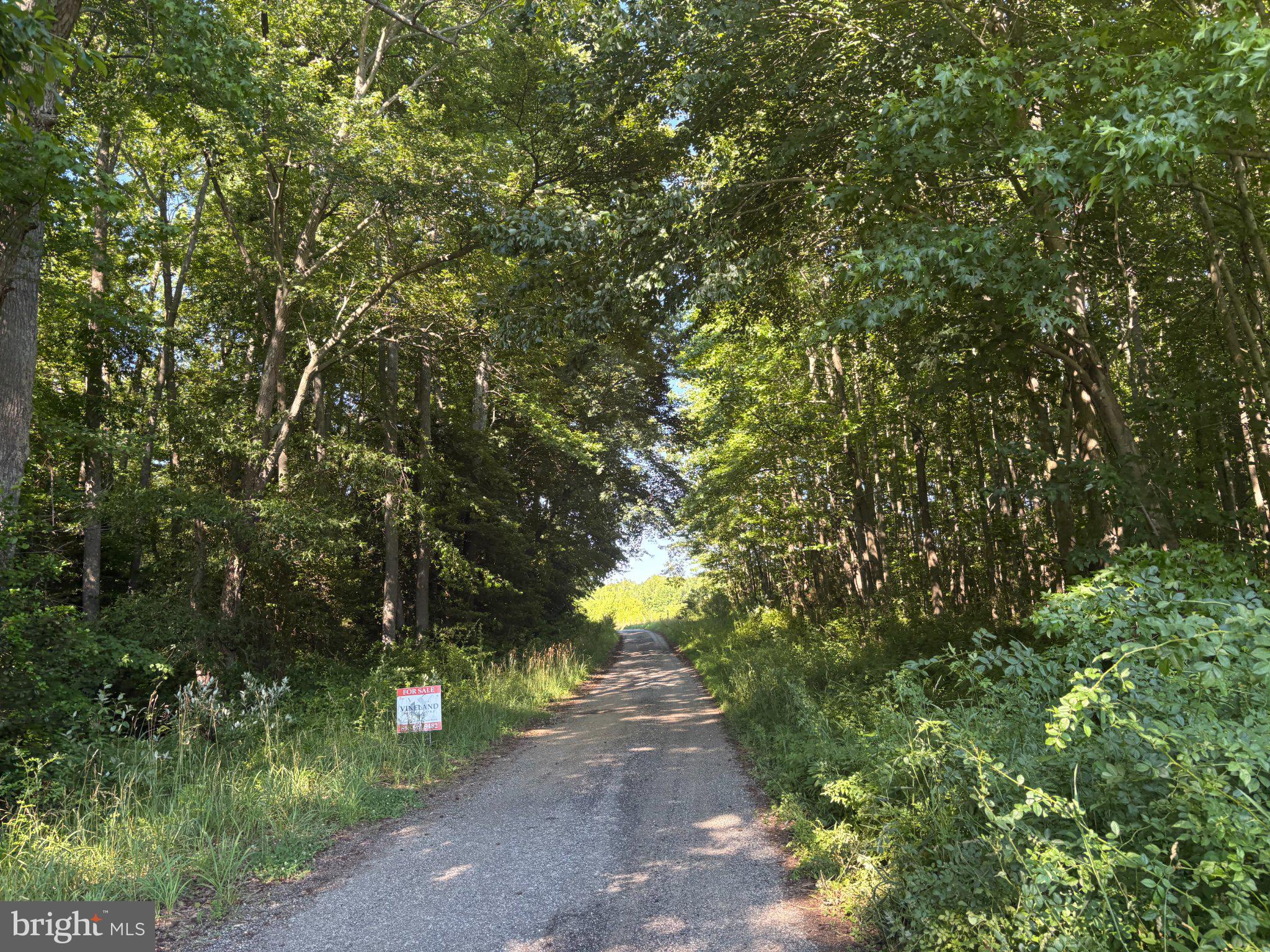 0 MILL POND ROAD