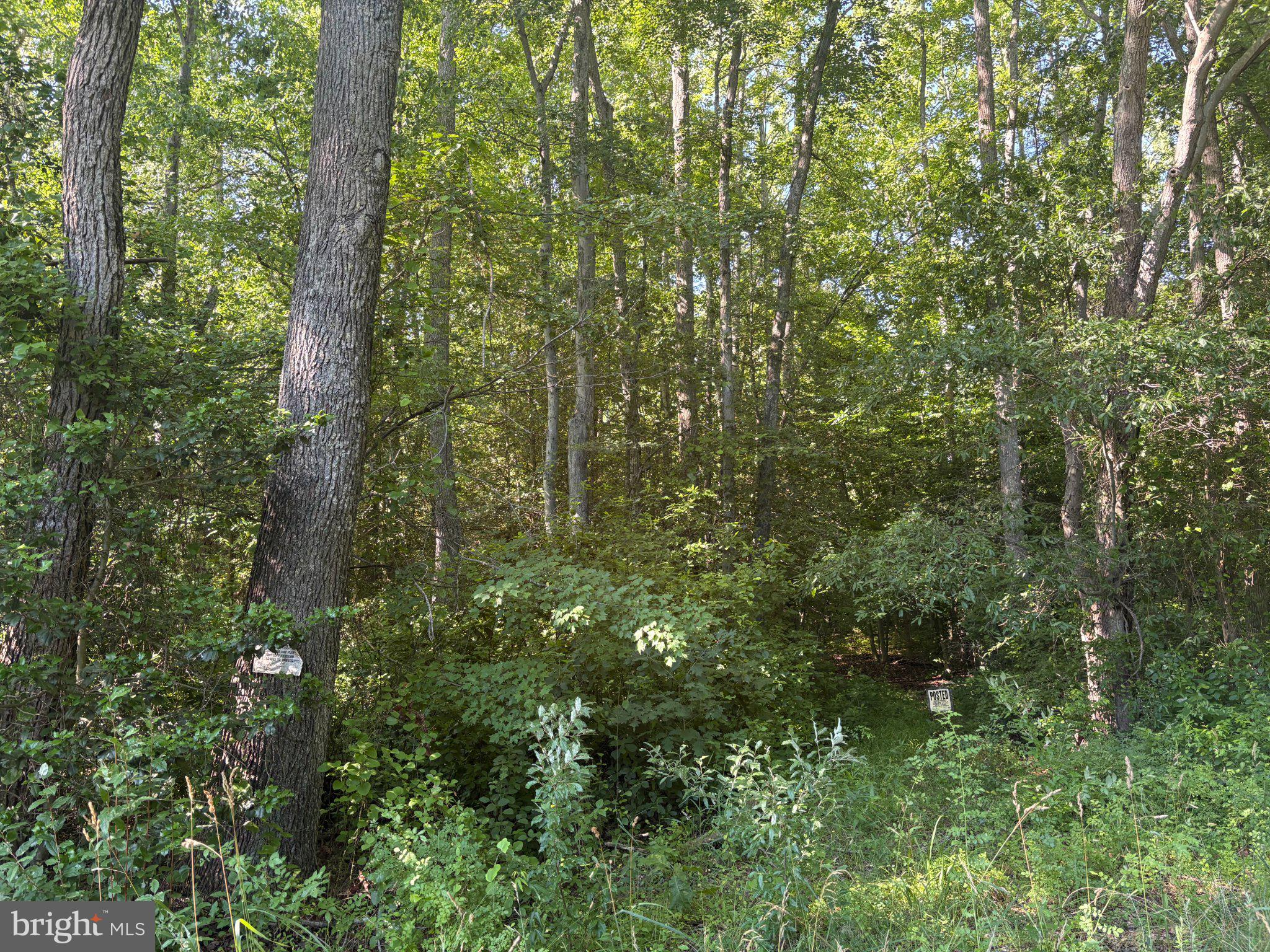 0 MILL POND ROAD