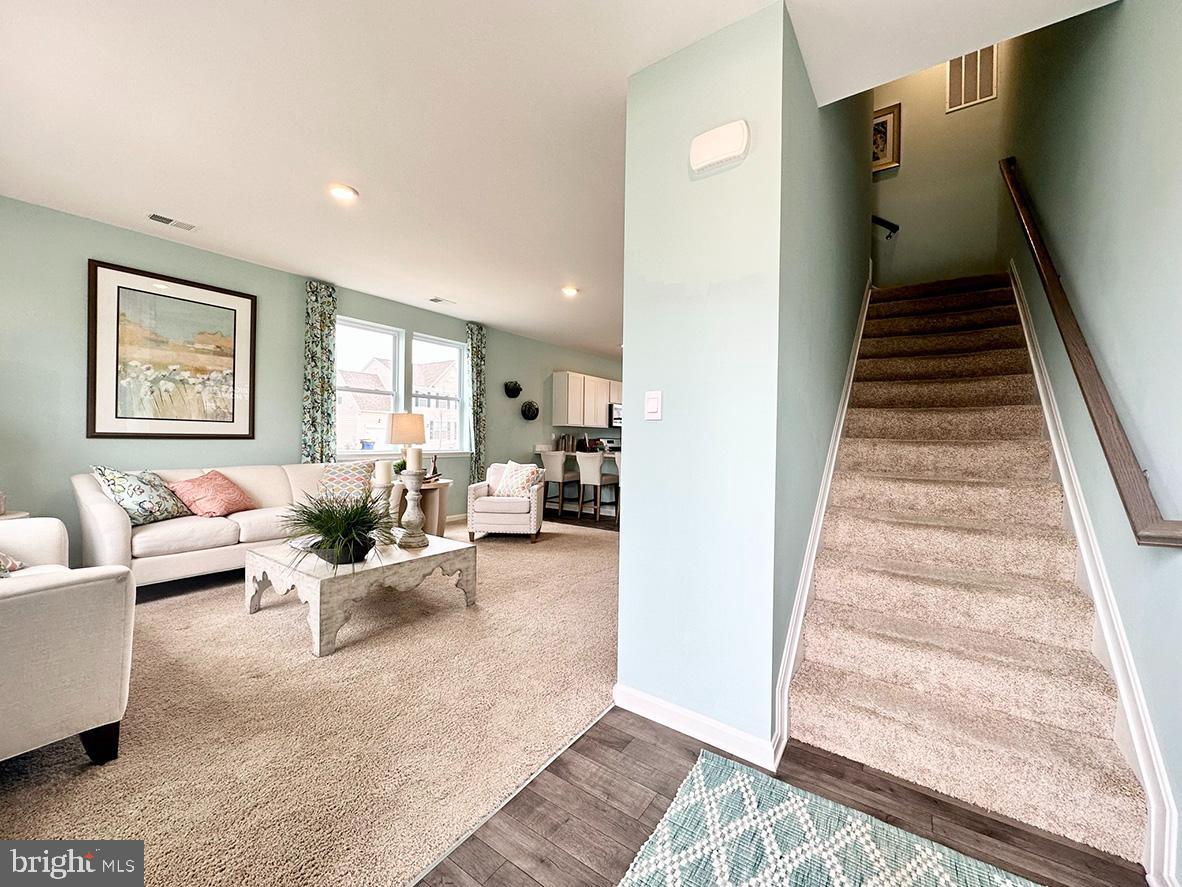 SASSAFRAS MEADOWS - Residential