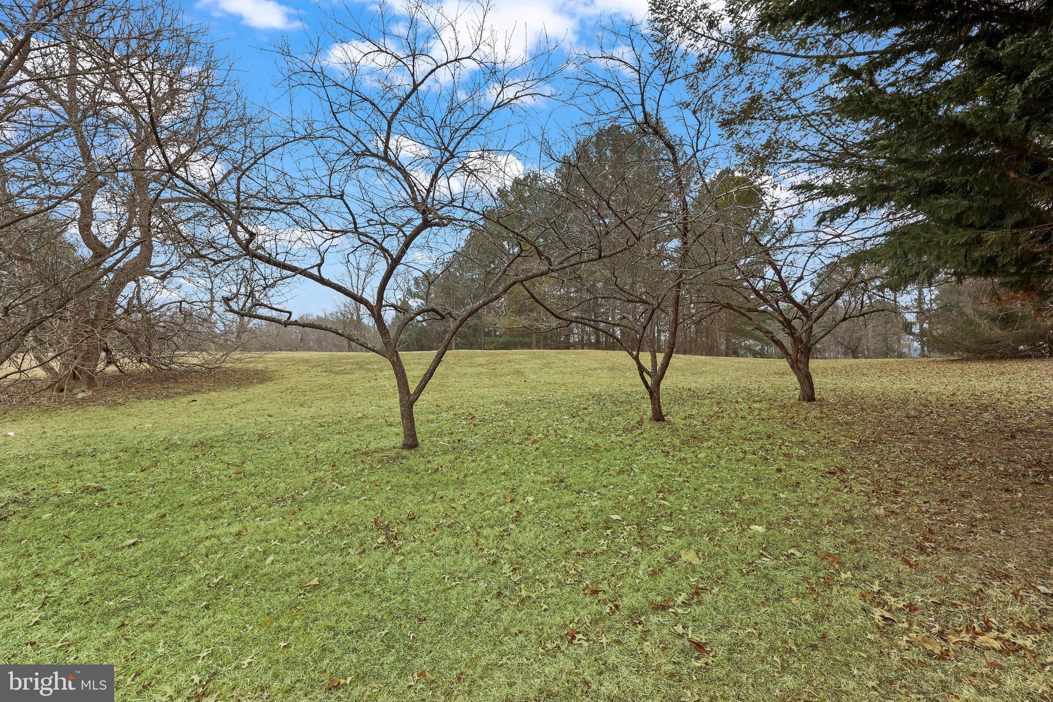 LINCOLN ACRES - Residential