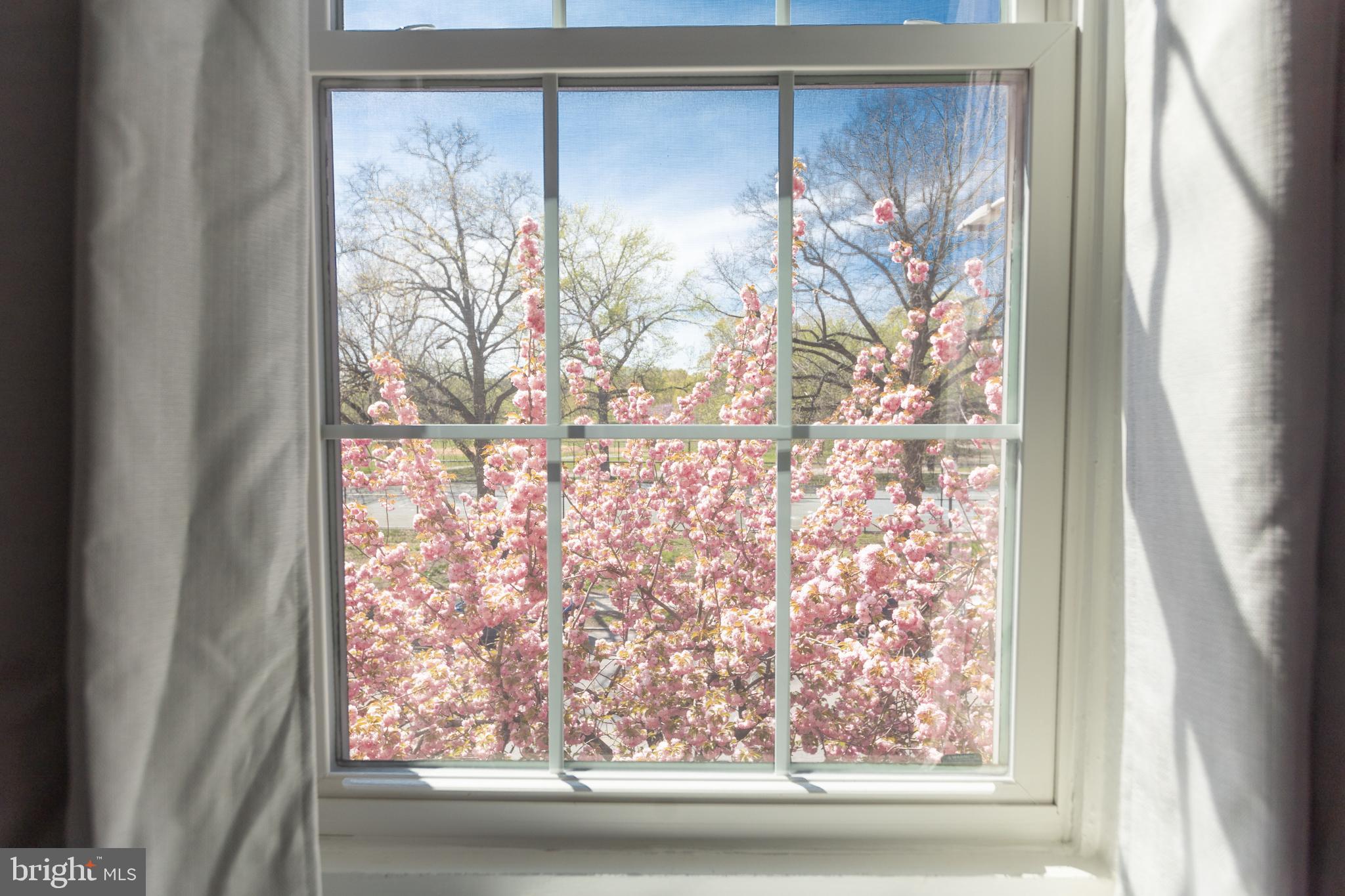 PATTERSON PARK - Residential