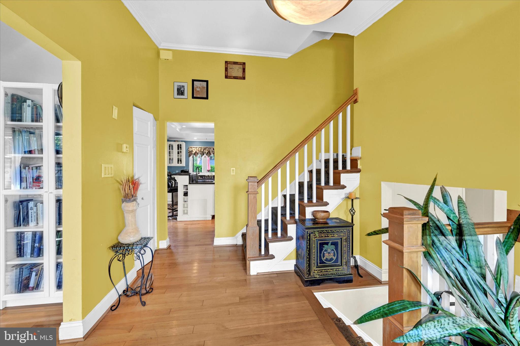 SPRINGDALE - Residential