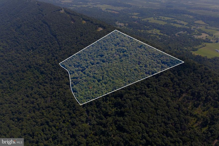 Discover a rare opportunity to own 31.34 acres perched atop a mountain along Radio Tower Road and Tuscarora Pike—perfectly situated for those seeking both privacy and accessibility. Located just minutes from I-81, the property offers convenient access to major commuter routes throughout the Mid-Atlantic, making it an excellent choice for a full-time residence or a peaceful weekend retreat. The land is wooded and secluded, with the potential for breathtaking panoramic views—including eastward vistas overlooking Martinsburg. Road frontage on both Radio Tower Road and Tuscarora Pike ensures straightforward access. A perc test completed in 2022 supports the property’s viability for a septic system, giving you a valuable head start toward your build. The current owner has also consulted with a local architect to explore home design possibilities and is happy to connect serious buyers directly for further discussion. With no HOA restrictions, you have the freedom to create your dream mountain retreat or custom residence—whether modern, rustic, or something uniquely yours. All this within a short trip to dining, shopping, and daily conveniences—plus direct access to major commuter routes into the heart of the Mid-Atlantic.