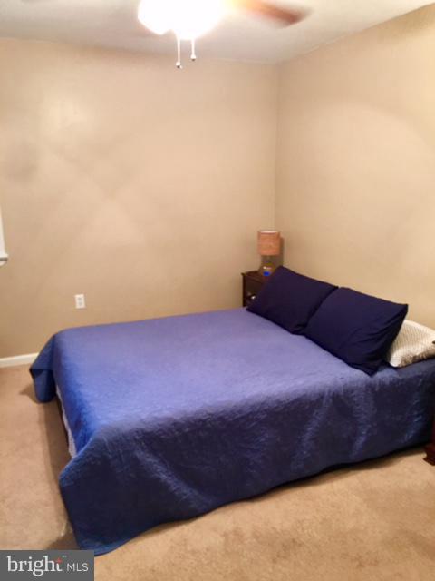 FALLING SPRING - Residential