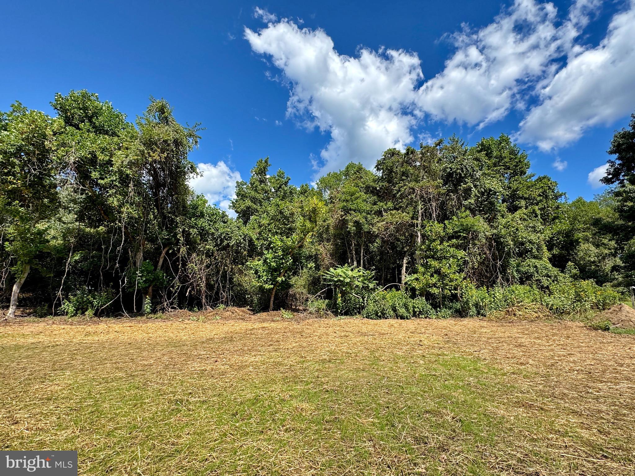CLIFFTON ON THE POTOMAC - Residential