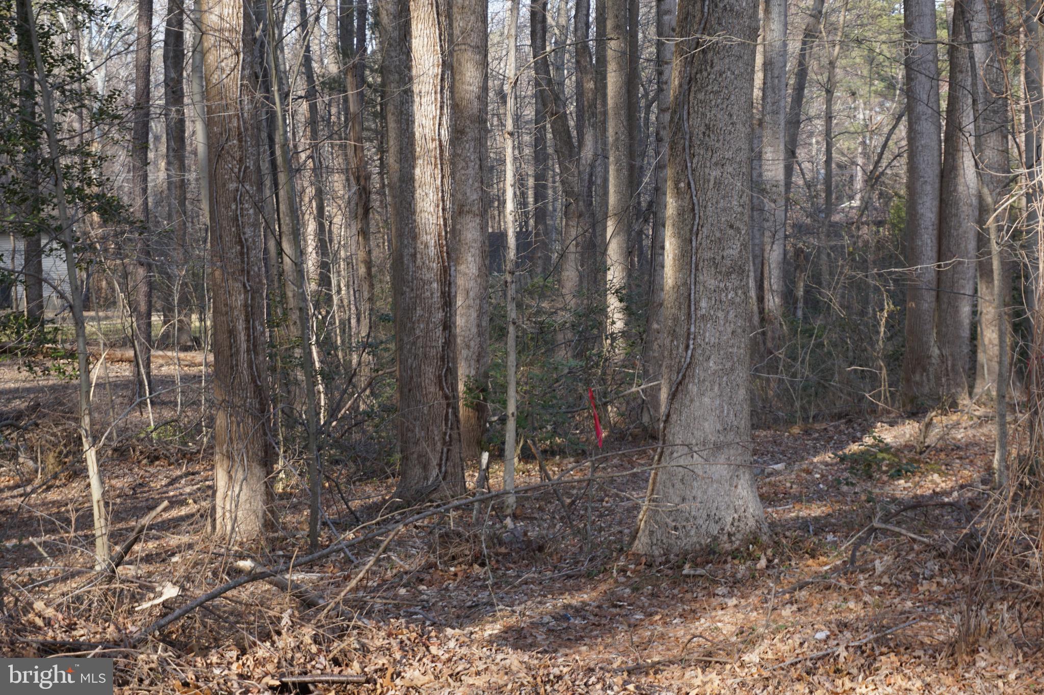 Nice Lot is a great location! Approved perc test, that needs to be recorded, with a preservation perc. Check with a surveyor for building feasibility.