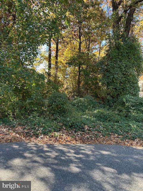 ANDREWS MANOR - Land